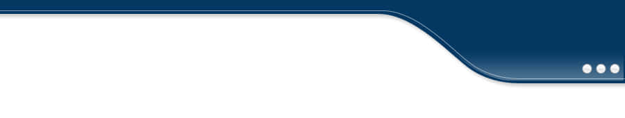 �����̓����Ɣ�N�O���l���铊���̖���